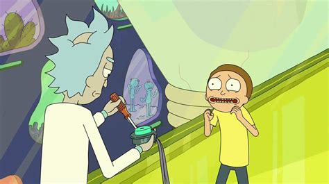 rick and morty s02e08 bdscr